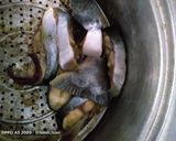 Foto langkah ke 1 dari resep Sup ikan patin.