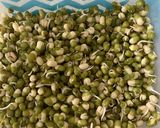 મગ ફણગાવેલા (Moong Fangavela Recipe In Gujarati) રેસીપી સ્ટેપ1ફોટો