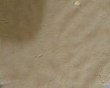 A picture of step 9 of Chocolate biscuits roll.