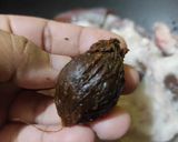Foto langkah ke 2 dari resep Dendeng Sapi Bumbu Koja.