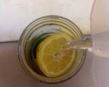 Lemon Cucumber Water recipe step 4 photo