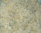 A picture of step 2 of Green Garlic Paratha.