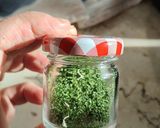Foto del passaggio 4 della ricetta Prezzemolo essiccato (tritato)
