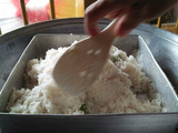Kue Talam Ketan Labu