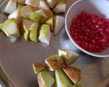 A picture of step 1 of Babugosha fruit punch.