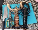 Foto del paso 2 de la receta: Arròs de llamàntol blau i gamba vermella