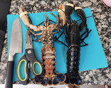 Foto del paso 2 de la receta: Arròs de llamàntol blau i gamba vermella