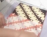 Foto langkah ke 9 dari resep Roll cake brownies batik.