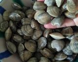 Foto del paso 2 de la receta Almejas al ajillo
