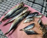 Foto langkah ke 2 dari resep Tumis Labu Ikan Asin.