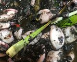 Foto langkah ke 4 dari resep Cumi Hitam Kental & Medok.