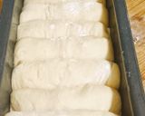 A picture of step 3 of Egg-Free, Dairy-Free Brioche Bread.