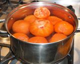 A picture of step 1 of FRESH CHUNKY TOMATO MARINARA SAUCE. JON STYLE.