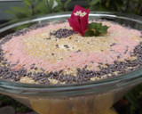 Foto del paso 3 de la receta: Postre improvisado con melocotones en almíbar y fruta con crema apto para diabéticos