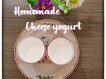 Cheese yogurt bước làm 5 hình