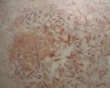 A picture of step 2 of Rosey GAJRELA (Gajar ki kheer).