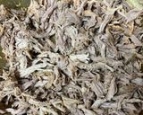 Foto del paso 7 de la receta: Pulled Pork en Olla GM
