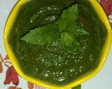 पुदीना चटनी (Pudina Chutney Recipe in Hindi) रेसिपी चरण 3 फोटो