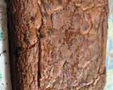 Foto del paso 5 de la receta: Brownies