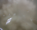 Foto langkah ke 1 dari resep Manisan Kolang-Kaling (Pakai Sirup).