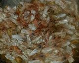 Foto langkah ke 5 dari resep Penyedap Rasa Serba Guna Dari Kulit/Kepala Udang #Dandelion.