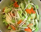 Koya-Tofu(freeze-dried tofu) and Vegetable Stir Fry recipe step 3 photo