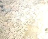 صورة لخطوة 1 من وصفة البوراك بالسلق 🤤🥬