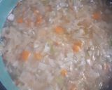 Foto del paso 16 de la receta: Sopa cultivateur campirana