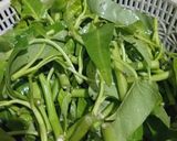 Foto langkah ke 1 dari resep Kangkung kuah kaldu udang.