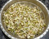 A picture of step 1 of Healthy Protein Rich Moong Sprouts Salad For Weight Loss.
