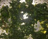 A picture of step 1 of Mojito.