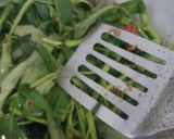 Foto langkah ke 2 dari resep Tumis kangkung.