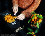 عکس مرحله 1 از دستور مربا کامکوات