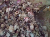 Sambal hijau baby cumi