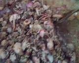 Foto langkah ke 2 dari resep Sambal hijau baby cumi.