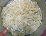 Foto langkah ke 1 dari resep Masakan Rumahan : Oseng Kol (Kubis) Pedas.