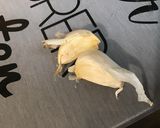 Une image de l'étape 2 de Bœuf aux pommes et carottes sauce citron poivron.