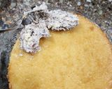 Foto del paso 18 de la receta: 💍🍰Torta de aniversario 🍰 Bizcochuelo, rellenos y cobertura 🍰 Fácil y delicioso, para sorprender 🍰💍