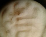 Foto langkah ke 6 dari resep Bapia Pathuk/Roti Bapia/Tou Luk Pia.