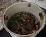 Foto del paso 5 de la receta: Caracoles a la madrileña, en salsa y con tomate