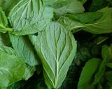 Nettle and mint pesto recipe step 5 photo