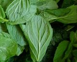 A picture of step 5 of Nettle and mint pesto.