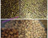 A picture of step 1 of Sprouted BHEL.