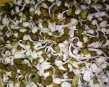 A picture of step 1 of Moong bhelpuri.