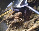 Foto langkah ke 4 dari resep Bebek goreng Surabaya.