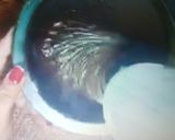 A picture of step 6 of Eggless chocolate cake no oven.