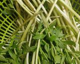 Hình bước làm 5 của món Canh củ nấu cá quả, rau cần