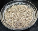 A picture of step 1 of Black eyed beans chilla.