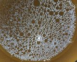 A picture of step 11 of Haleem Biryani.