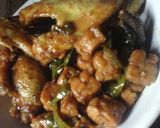 Foto langkah ke 3 dari resep Tempe + ayam kecap cabe ijo.
